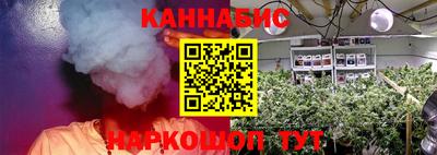 шишки Гусь-Хрустальный