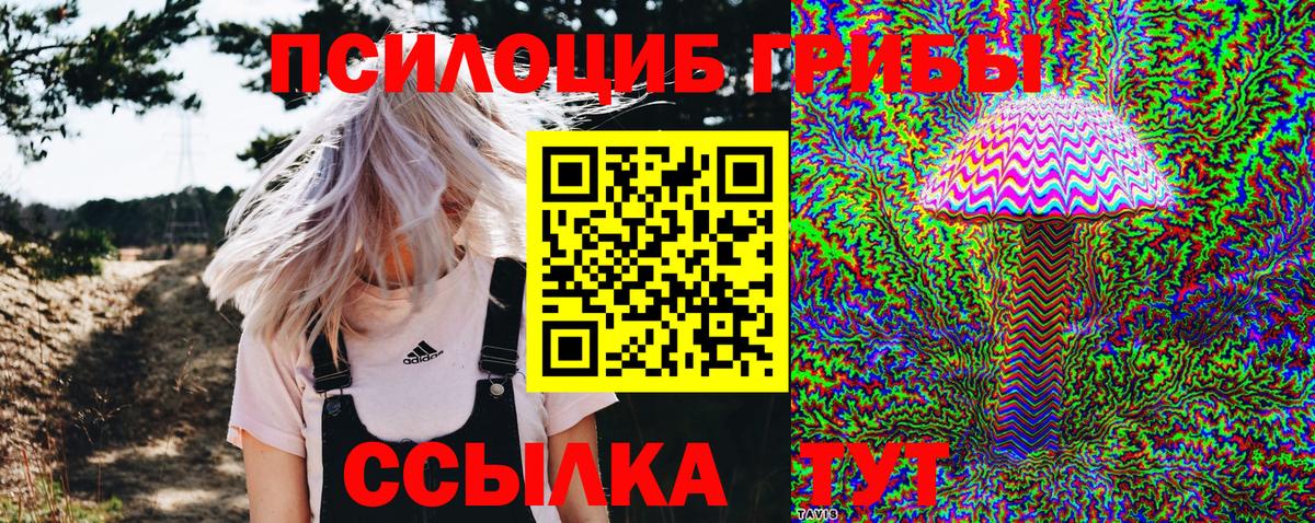 купить   Галлюциногенные грибы ЛСД  Вход с VPN  Мценск 