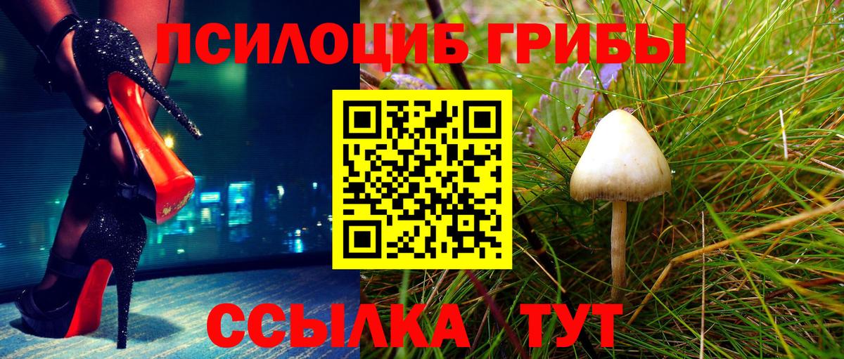 Псилоцибиновые грибы Psilocybe Мценск